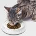 CatGuru Whisker Stress Free Cat Food Bowls - Non Slip Wide Shallow Dish for Kitten Supplies - Pack of 2 Marshmallow Cat Bowls - Buy Online on GoSupps.com