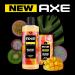 AXE Hawaiian Vibe Men's Aluminum-Free Deodorant Stick 2.6 oz, 4-Pack - 100% Natural Scent & Essential Oils - Buy Online on GoSupps.com