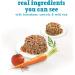 Beneful Incredibites Wet Dog Food for Small Dogs Real Chicken & Salmon in Gravy Variety Pack - 85 g Can (12 Pack) - Buy Online on GoSupps.com