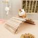 Niteangel Small Animal Climbing Suspension Bridge Ladder - Ideal for Hamsters, Gerbils, Mice, Rats, Guinea Pigs - 15.7'' x 7.8 - Buy Online on GoSupps.com