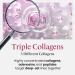 Collagen Intensive Ampoule | Firming Face Serum with 3 Types of Collagen | Hydrating Korean Skin Care | Achieve Glass Skin | 3.38 fl oz - Buy Online on GoSupps.com