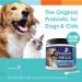 Probiotic Miracle for Cats & Dogs - 120 Scoops - Stop Diarrhea, Loose Stool, and Yeast - Buy Online on GoSupps.com