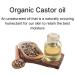 BeesOline All Natural Moisturizer - Petroleum Free, Non-GMO Sunflower Oil, Organic Castor Oil, Jojoba Butter, Medical Grade Beeswax - 1-8oz Jar - Soothing Moisture - Buy Online on GoSupps.com