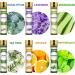 Aoruilia 6 x 10ml Essential Oils for Diffuser for Home 100% Pure Aromatherapy Oil for Sleep Cleaning Skin Care Candle Making - Tea Tree Lavender Peppermint Sweet Orange Lemongrass Eucalyptus Top 6 60 ml (Pack of 1) - Buy Online on GoSupps.com