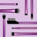 Real Techniques Everyday Eye Essentials Makeup Brush Kit - 8PC Set for Eye Liner, Eyeshadow, Brows & Lashes - Synthetic Bristles, Cruelty-Free & Vegan - Buy Online on GoSupps.com