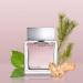 Calvin Klein Euphoria Eau de Toilette Chypre Men's Cologne With Notes of Ginger Black Basil Patchouli & Amber Long Lasting Fragrance 1.7 Fl Oz (Pack of 1) - Buy Online on GoSupps.com