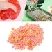 Buy Red Heart Pomelo Nail Discs - Synthetic Resin Jewelry for Festivals & Dance | Best for Nail Artists - Buy Online on GoSupps.com