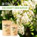 Organic Acacia Fiber Powder 250g | Natural Vegan Soluble Fiber | Well-Tolerated Dietary Fiber | 1 Pack - Buy Online on GoSupps.com