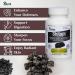 Sayan Shilajit 90 Capsules/440mg ea. Organic Supplement with High Fulvic Acid Content to Support Your Immune System, Bolster Energy, and Naturally Cleanse Non-GMO, No Fillers - Buy Online on GoSupps.com