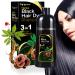 Hair Dye Shampoo 3 in 1 for Gray Hair Herbal Ingredients Champu Con Tinte Para Canas-17oz/500ML (Black)