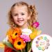 Flower Girl Hair Clips Set - Cute Proposal & Thank You Gifts - Buy Online on GoSupps.com