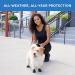 eta Title: Pawz Dog Black Dog Boots | Waterproof & Durable Pet Shoes - Buy Online on GoSupps.com