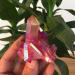 Specimen Healed Rose Flame Aura Quartz Crystal Cluster Specimen 40-50 As a Gift ERTEYIN 40-50g - Buy Online on GoSupps.com