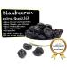  1001 Frucht 1001 Frucht Dried Blueberry - 1000 g - Candied - Wild Blueberry - No Additives - Dried Strawberries - GMO-Free - Buy Online on GoSupps.com