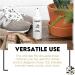 Shoe Clinic Suede Cleaner and Suede Protector 125ml | Deep Cleans & Protects | Use on Dress Shoes Trainers Boots Heels Sandals Suede cleaner and brush - Buy Online on GoSupps.com