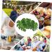180Pcs Tropical Leaves Cupcake Toppers Turtle Leaves Cake Decorations Jungle Cake Toppers for Family Cupcake Food Decoration - Buy Online on GoSupps.com