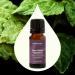 Plant Therapy Aged Dark Patchouli Essential Oil 10 mL (1/3 oz) 100% Pure Therapeutic Grade Aged Patchouli Oil with Deep Bold Earthy Scent Aromatherapy & Fragrance Oil for Diffusers & Skin - Buy Online on GoSupps.com