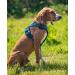 Buy Lionto Padded Anti-Pull Dog Harness - Reflective & Adjustable Safety Harness Size S Blue - International Shipping Available - Buy Online on GoSupps.com