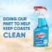 Windex Original Blue Glass and Window Cleaner Bottles Made from 100% Recycled Plastic 765mL 765 ml (Pack of 1) - Buy Online on GoSupps.com