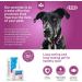 ICF | Clorexyderm Spot Gel | Advanced Cat & Dog Skin Care Gel for Itchy Skin & Wound Relief | Soothes and Moisturizes Irritated Skin | Liquid Plaster | Ideal for Paws Skin Folds and Localized Issues - Buy Online on GoSupps.com