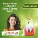 Buy Vicco Vajradanti Herbal Toothpaste Fennel Flavour - 100% Natural Vegan & Cruelty-Free | 18 Herbs Astringent & Analgesic | Pack of 3 x 7oz - International Shipping Available - Buy Online on GoSupps.com