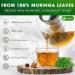 Lavendium Premium 15 Moringa Leaf Tea Bags 100% Natural and Pure from Moringa Leaves. Made with Eco-Conscious Tea Bags Moringa Leaf Herbal Tea. No Sugar No Caffeine No Gluten Vegan. - Buy Online on GoSupps.com