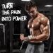 Yes4All LAT Pull Down Cable Attachment Tricep Press Down V-Bar Diamond Knurl Handle - Chrome - Buy Online on GoSupps.com