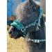 Equipride Horse Print Faux Lined Nylon Headcollars with Matching Lead Rope Green (Mini Shetland) - Buy Online on GoSupps.com