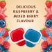 Snack Pack Raspberry & Mixed Berry Gel 12-Pack 99 Gram Cups - Buy Online on GoSupps.com