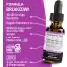 Elderberry Syrup Organic Liquid Drops - Sugar Free Immune Support Supplement for Adults & Kids Ages 1 Immune Booster - Pure Organic Elderberry Syrup Liquid Drops Tincture Extract Concentrate 1 Fl Oz - Buy Online on GoSupps.com