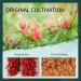 Soeos 7oz Sichuan Chili Flakes - Non-GMO, All Natural, Medium Hot Crushed Red Pepper Flakes | Premium Dried Szechuan Red Chili Pepper Bulk - Buy Online on GoSupps.com