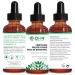 Vegan Cold Pressed Bakuchiol Moisturizing Facial Oil + Rose Hip Abyssinica Argan & Sea Buckthorn Plant Oils Vitamin E & C. Bakuchiol is Nature's Non-Irritating Retinol Alternative. Dry-Skin Defence 100% Preservative Free Sensitive Skin Safe. Made in Canad - Buy Online on GoSupps.com