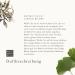 Buy Rituals Sunscreen LSF 30 | The Ritual of Karma Sun Protection Spray with Aloe Vera Holy Lotus White Tea & Ginkgo Biloba | UVA/UVB Protection & Natural Antioxidants - Shop Internationally! - Buy Online on GoSupps.com