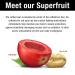 Bai Flavored Water Zambia Bing Cherry 18 Fl Oz (Pack of 12) - Antioxidant Infused Drinks - Buy Online on GoSupps.com