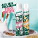 Batiste Naturally Dry Shampoo Green Tea & Chamomile Refresh Hair and Absorb Oil Between Washes Waterless Shampoo for Added Hair Texture and Body 200-ml Naturally Green Tea & Chamomile 200 g (Pack of 1) - Buy Online on GoSupps.com