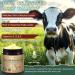 CFXYHNOX Beef Tallow for Skin & Face Cream with Castor Oil and Frankincense Natural 100% Grass Fed Whipped Beef Tallow Balm Deeply Moisturizing for Face & Body Care 4.2 oz - Buy Online on GoSupps.com