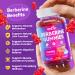 Berberine Gummies 1500mg High Potency Berberine Supplement with Ceylon Cinnamon and Milk Thistle Supports Glucose Metabolism & Natural Liver Function Vegan Sugar-Free Non-GMO 60 Count - Buy Online on GoSupps.com