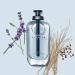 Coach OPEN ROAD 3.3 Fl Oz - Buy Online on GoSupps.com