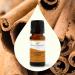 Buy Plant Therapy Cinnamon Cassia Essential Oil 10 mL - 100% Pure Undiluted Therapeutic Grade - International Shipping Available - Buy Online on GoSupps.com