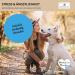 Paws & Patch Set: Dr. Bach Flower Mix for Stress & Anxiety in Dogs & Cats - 10g | Natural Relief for Fear & Stressful Situations - Buy Online on GoSupps.com