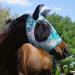 Harrison Howard Super Comfort Stretchy Fly Mask Large Eye Space UV Protection & Breathable Design in Green Water Tone (L) - Buy Online on GoSupps.com
