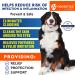 Pet Eye Wash Drops: Prevent Pink Eye, Allergies, Infections, Tear Stains & Conjunctivitis - Buy Online on GoSupps.com