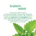 OGX Teatree Mint Dry Scalp Treatment with Witch Hazel - 4 fl oz | Paraben and Sulfate Free - Buy Online on GoSupps.com