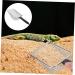 Sosoport 3 Pcs Climbing Pet Sand Excrement Shovel Tortoise Terrarium Tank Kit Stainless Steel Supplies Gecko 27X10X5CMx3pcs Blackx3pcs - Buy Online on GoSupps.com