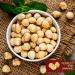 Blanched Hazelnuts Filberts - No Shell - Packed Fresh in Resealable Bag (3 lb) | We Got Nuts - Buy Online on GoSupps.com