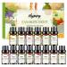 Fruity Essential Oils Fragrance Oils Set 14 x 5ml Natural Aromatherapy Essential Oil for Diffusers for Home Humidifiers Bath Bombs Soap & Candle Making - Mango Strawberry Cherry Coconut Fruity Scent