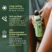 Natrapel Insect Repellent Spray 6 oz (Pack of 2) - Effective Bug Protection for Outdoor Activities - Buy Online on GoSupps.com