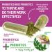 Bacillus Subtilis Spore Based Probiotic High Potency Strain with Prebiotic for Balanced Belly | Daily Gut Health & Microbiome Support for Family | 6 Billion CFU Per Day | 180 Vegetarian Capsules 90 Count (Pack of 2) - Buy Online on GoSupps.com