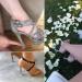 CBTONE High Heel Protectors - 15 Pairs Clear Stoppers for Women's Shoes | Grass Protection & Repair Caps for Outdoor Events (S/M/L) - Buy Online on GoSupps.com