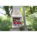 Fluffy Tail Cafe - Squirrel Feeder - Buy Online on GoSupps.com